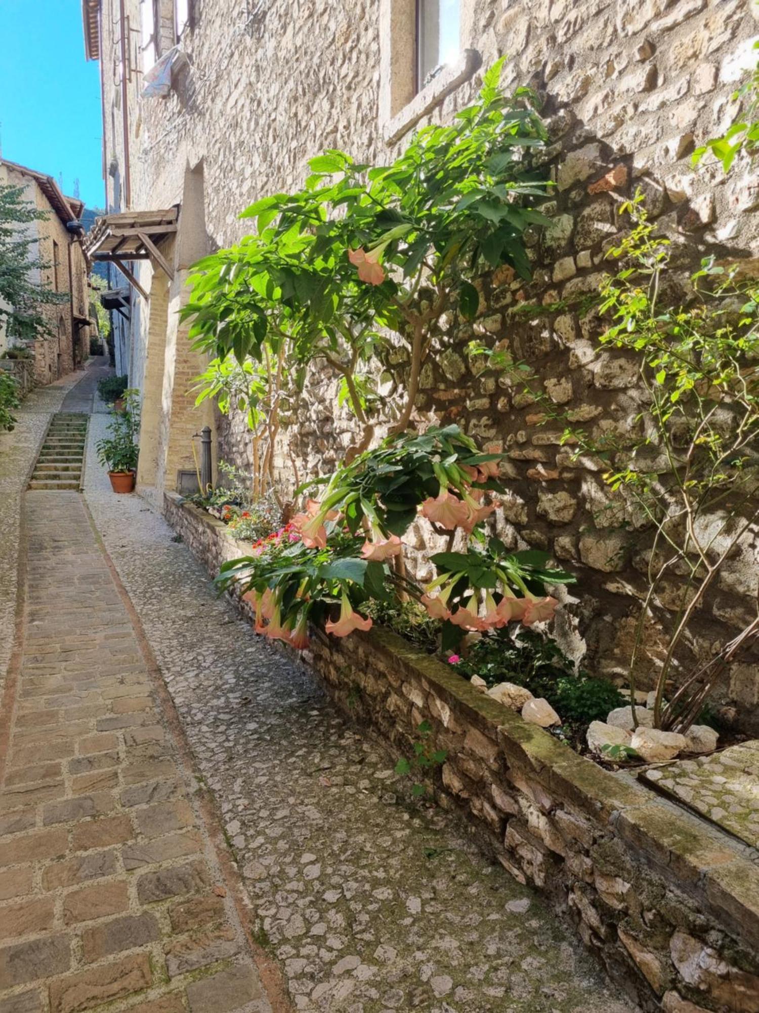 Cuore Del Castello Arrone Buitenkant foto